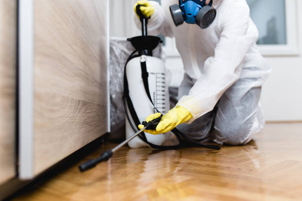 Best Flea Control Services  in West Hills, NY
