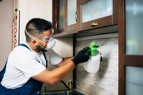Best Pest Inspection Near Me  in West Hills, NY