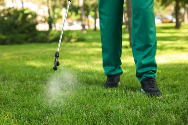 Reliable West Hills, NY Pest Control Solutions