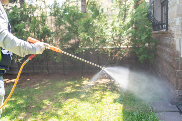 Best Pest Control Near Me  in West Hills, NY
