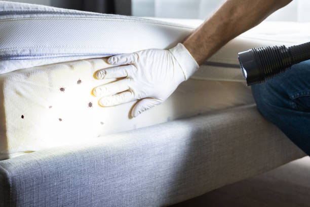 Best Pest Prevention Services  in West Hills, NY