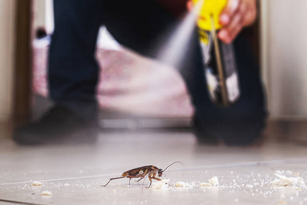 Best Flea Control Services  in West Hills, NY