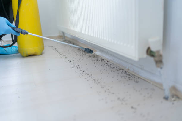 Best Emergency Pest Control  in West Hills, NY