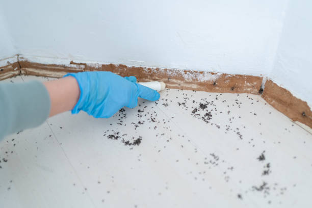 Pest Control for Restaurants in West Hills, NY